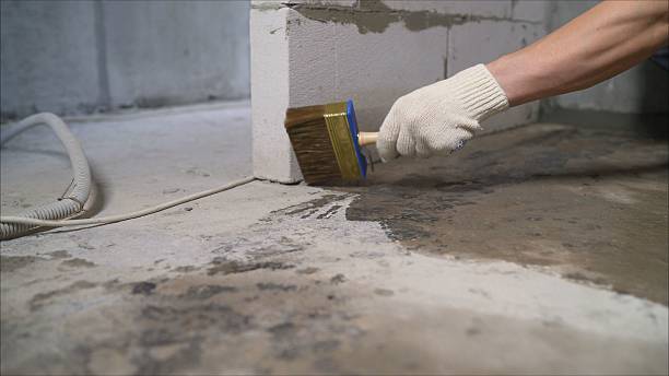 24/7 Emergency Wet Basement Repair experts in Oradell, NJ